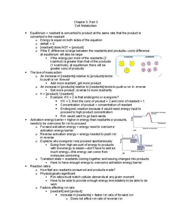 APK 2105C Lecture 10: Cell Metabolism Part 3 thumbnail