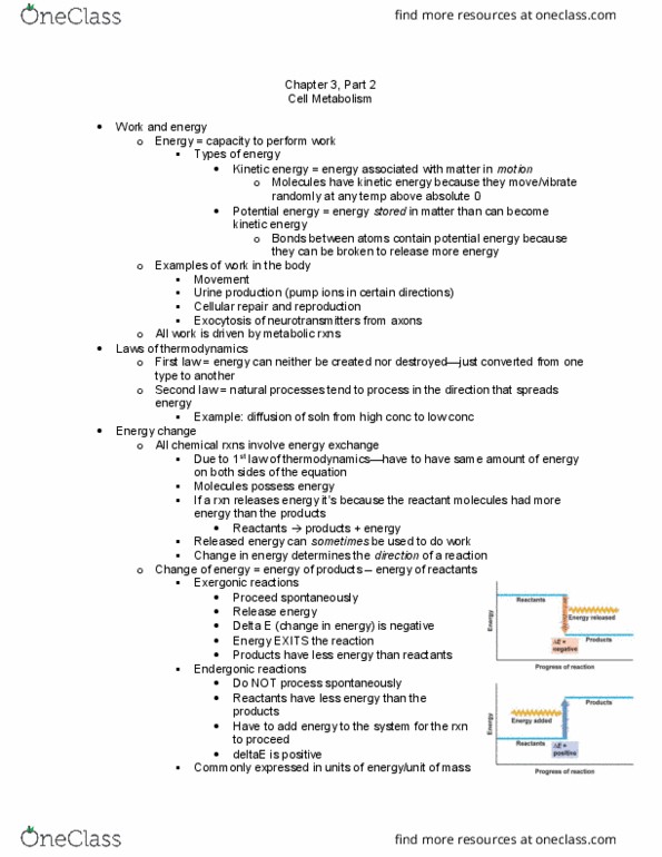 APK 2105C Lecture Notes - Lecture 9: Cell Metabolism, Potential Energy, Endergonic Reaction thumbnail