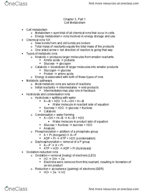 APK 2105C Lecture Notes - Lecture 8: Cell Metabolism, Dephosphorylation, Sucrose thumbnail