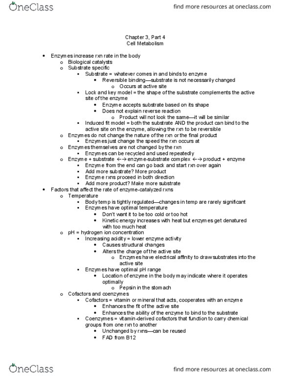 APK 2105C Lecture Notes - Lecture 11: Cell Metabolism, Kinetic Energy, Pepsin thumbnail