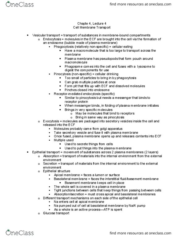 APK 2105C Lecture Notes - Lecture 18: Basement Membrane, Epithelium, Paracellular Transport thumbnail