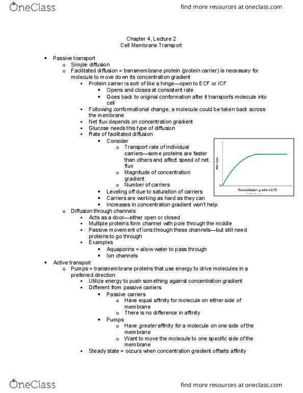 APK 2105C Lecture Notes - Lecture 16: Active Transport, Electrochemical Gradient, Transmembrane Protein thumbnail