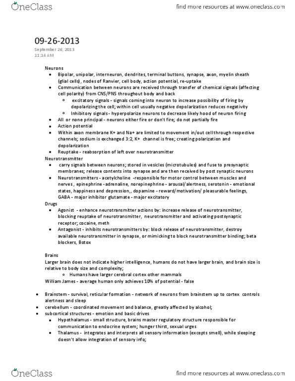 PSY100H1 Lecture Notes - Beta Blocker, Neurotransmitter Receptor, Myelin thumbnail