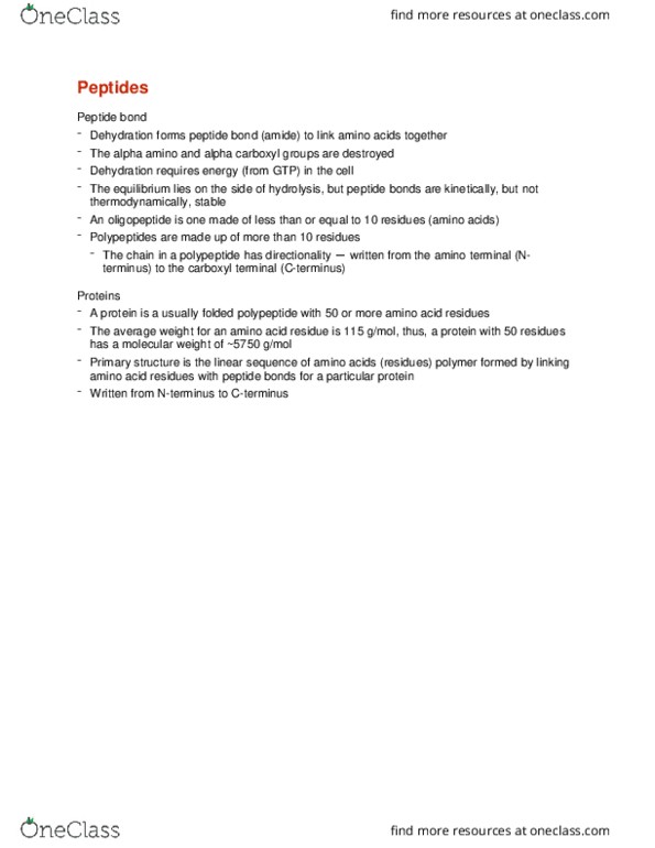 BCEM 393 Lecture Notes - Lecture 3: Peptide, Hydrolysis, C-Terminus thumbnail