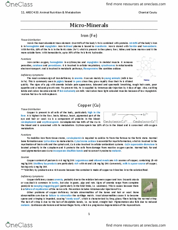 ANSC 433 Lecture Notes - Lecture 11: Copper Deficiency, Superoxide Dismutase, Ceruloplasmin thumbnail