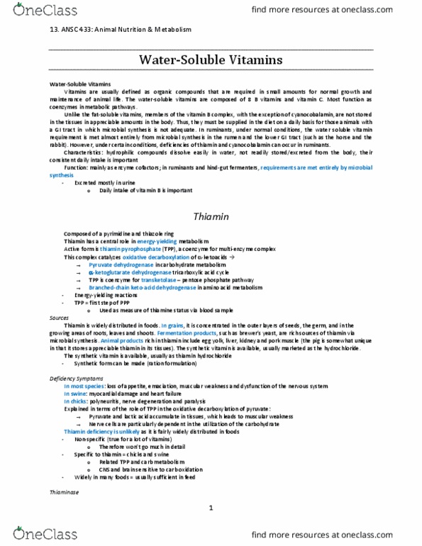 ANSC 433 Lecture Notes - Lecture 13: Flavin Adenine Dinucleotide, Thiamine Pyrophosphate, Pyruvate Dehydrogenase thumbnail