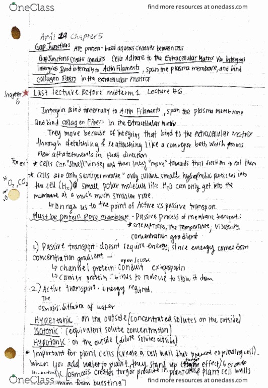 BIOL 20A Lecture 6: Lecture 6 thumbnail