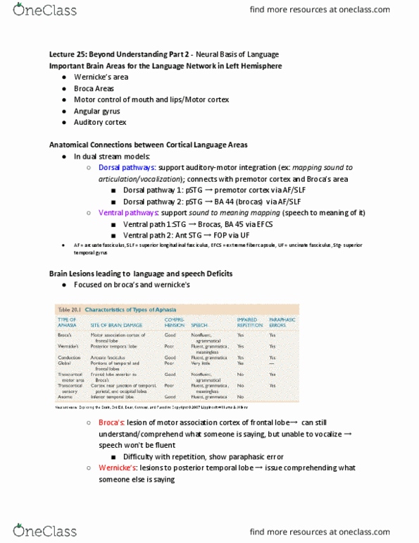 PSYCH 454 Lecture Notes - Lecture 25: Premotor Cortex, Angular Gyrus, Paraphasia thumbnail