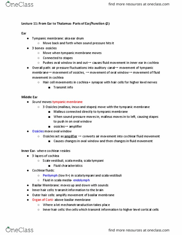 PSYCH 454 Lecture Notes - Lecture 11: Vestibular Duct, Oval Window, Cochlear Duct thumbnail