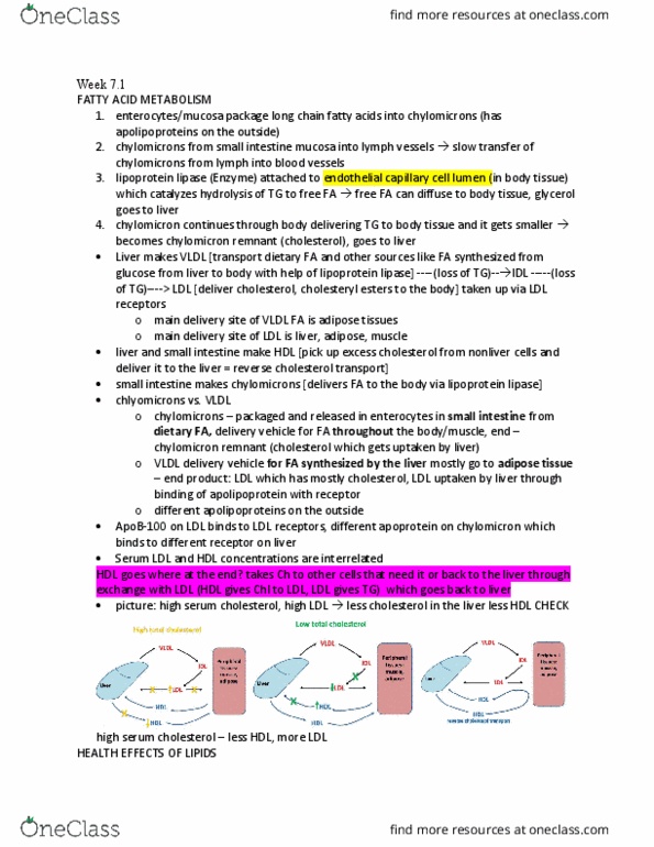 BIBC 120 Lecture Notes - Lecture 18: Reverse Cholesterol Transport, Lipoprotein Lipase, Cholesteryl Ester thumbnail