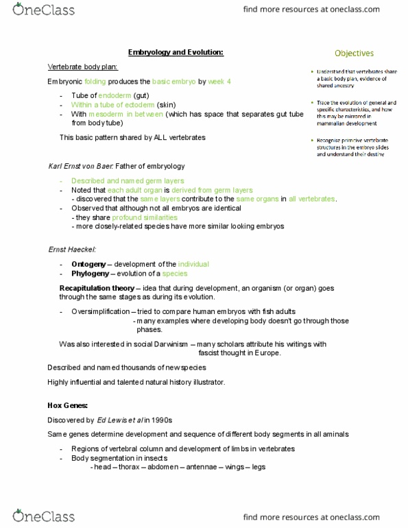 ANHB2212 Lecture Notes - Lecture 4: Karl Ernst Von Baer, Ernst Haeckel, Gastrointestinal Tract thumbnail