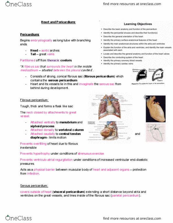 ANHB2212 Lecture Notes - Lecture 10: Internal Thoracic Artery, Pericardium, Pericardial Fluid thumbnail