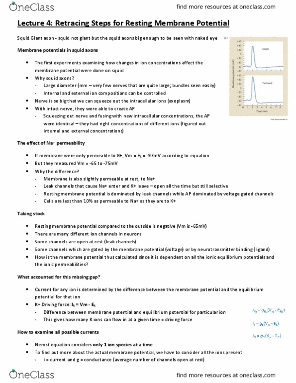 CJH332H1 Lecture Notes - Lecture 4: Resting Potential, Nernst Equation, Membrane Potential thumbnail