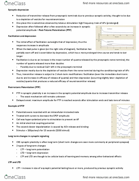 CJH332H1 Lecture Notes - Lecture 11: Dentate Gyrus, Long-Term Potentiation, Long-Term Depression thumbnail