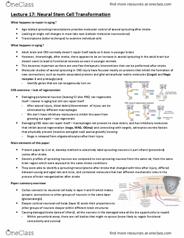 CJH332H1 Lecture Notes - Lecture 17: Cholera Toxin, Axon, Atrx thumbnail