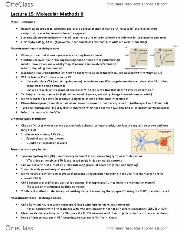 CJH332H1 Lecture Notes - Lecture 15: Stereotactic Surgery, Chlamydomonas Reinhardtii, Dopaminergic thumbnail