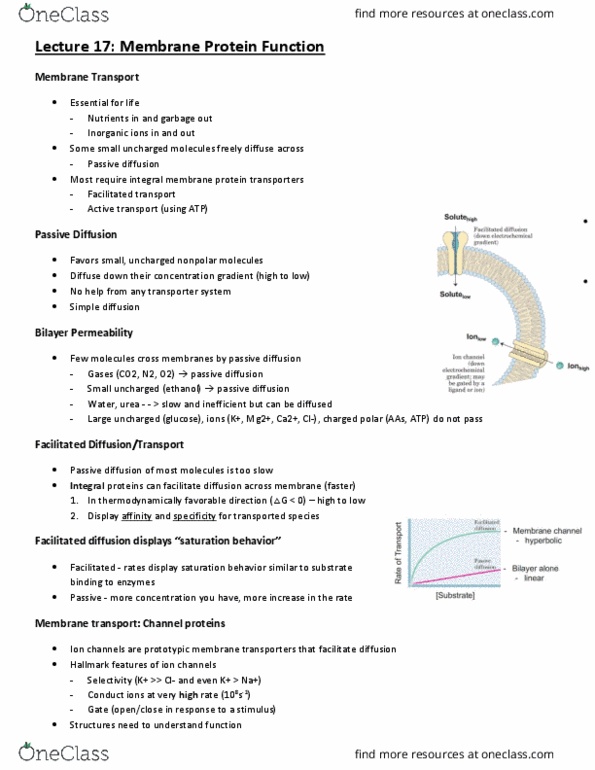 BCH210H1 Lecture Notes - Lecture 17: Integral Membrane Protein, Facilitated Diffusion, Membrane Transport thumbnail