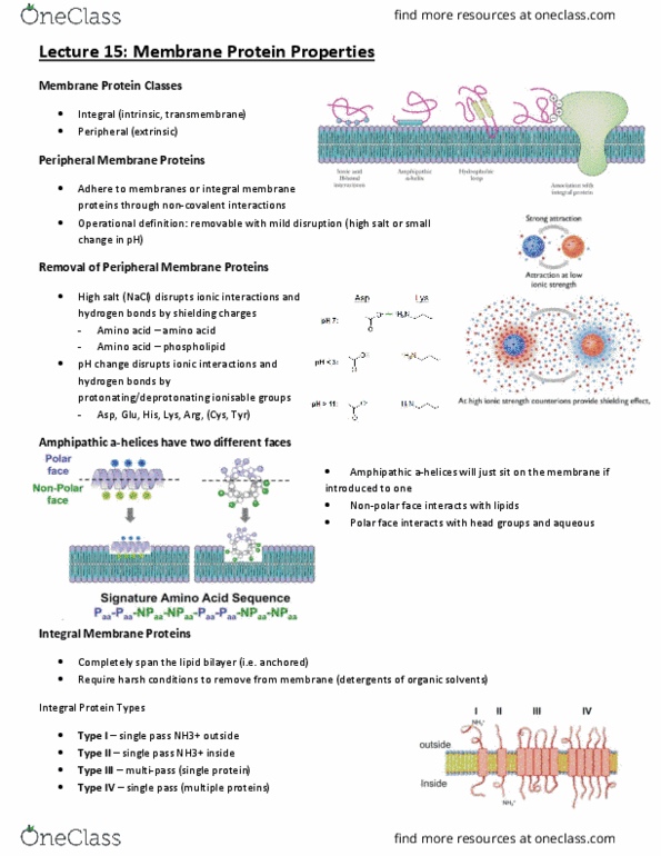 BCH210H1 Lecture Notes - Lecture 15: Peripheral Membrane Protein, Integral Membrane Protein, Lipid Bilayer thumbnail