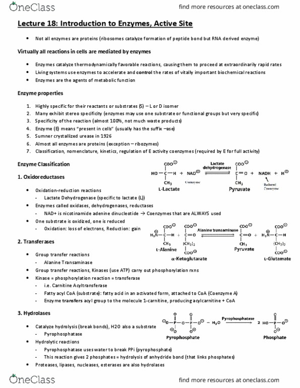 BCH210H1 Lecture Notes - Lecture 18: Nicotinamide Adenine Dinucleotide, Pyrophosphatase, Atp Hydrolysis thumbnail