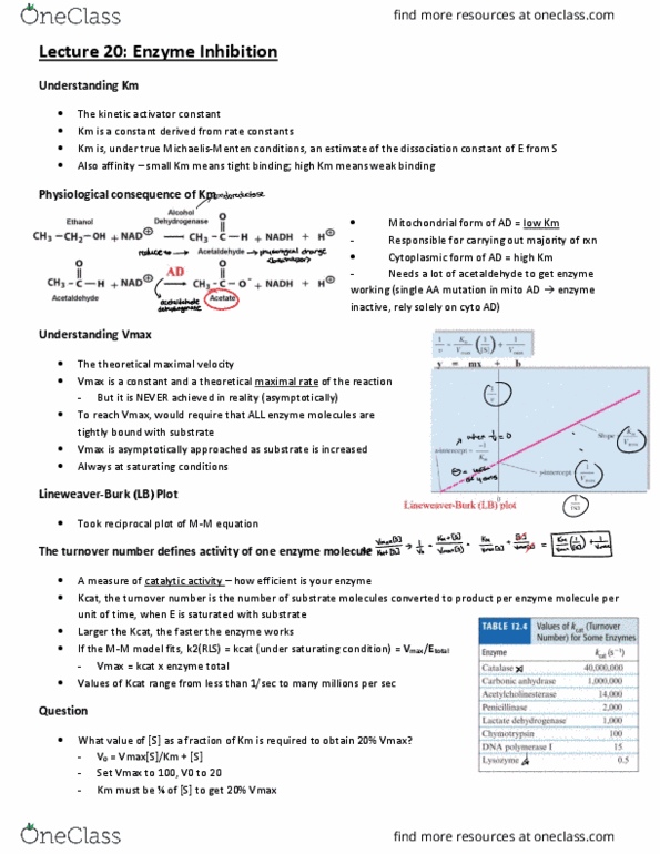 BCH210H1 Lecture Notes - Lecture 20: Enzyme Kinetics, Turnover Number, Enzyme Inhibitor thumbnail