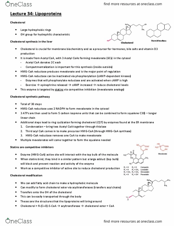 BCH210H1 Lecture Notes - Lecture 34: Hmg-Coa Reductase, Cholesteryl Ester, Squalene thumbnail
