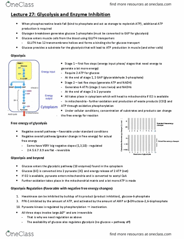 BCH210H1 Lecture 27: Lecture 27 thumbnail