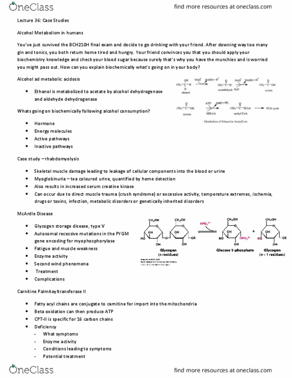 BCH210H1 Lecture Notes - Lecture 36: Carnitine Palmitoyltransferase Ii, Glycogen Storage Disease, Aldehyde Dehydrogenase thumbnail