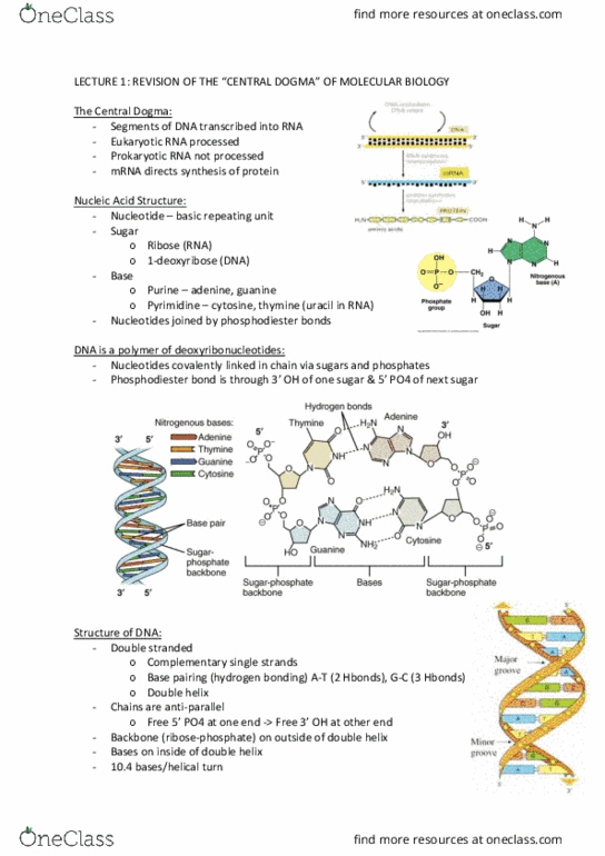 BIOC2201 Lecture 1: Theme 1 Notes thumbnail