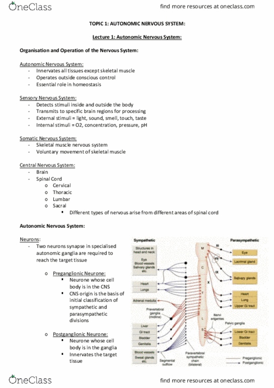 PHAR2220 Lecture Notes - Lecture 1: Paravertebral Ganglia, Autonomic Nervous System, Quaternary Ammonium Cation thumbnail