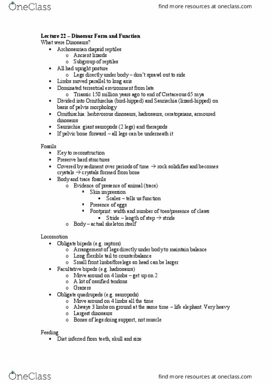 BIO2242 Lecture Notes - Lecture 22: Hadrosaurid, Ornithischia, Saurischia thumbnail