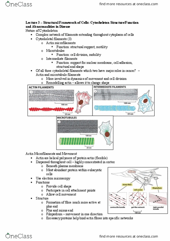 document preview image