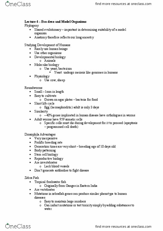 DEV2011 Lecture Notes - Lecture 4: Stem Cell, Model Organism, Zebrafish thumbnail