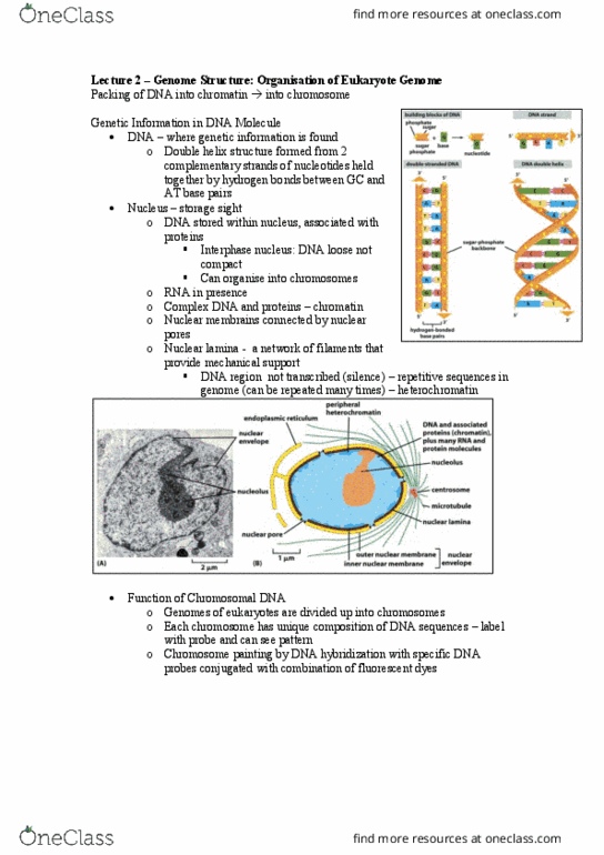 document preview image