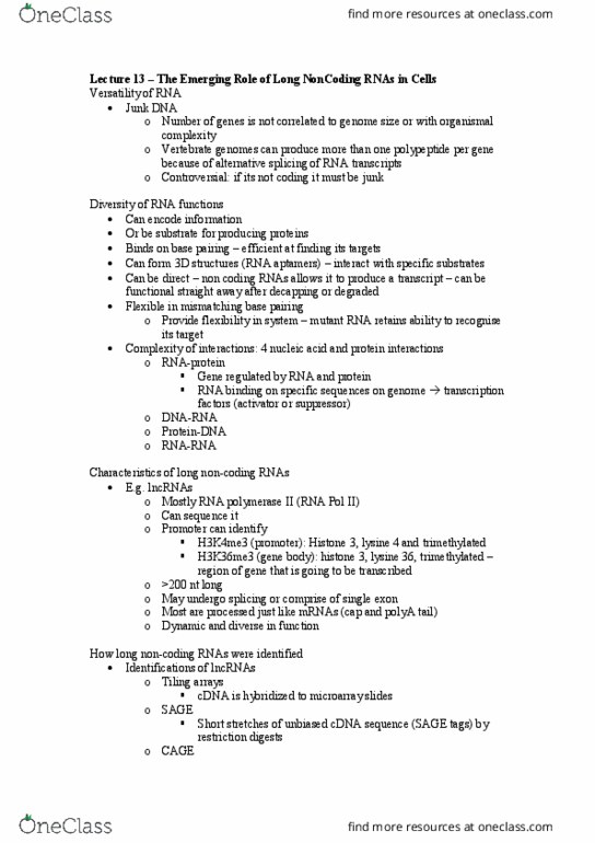 BCH3031 Lecture Notes - Lecture 13: Noncoding Dna, H3K4Me3, Epistasis thumbnail