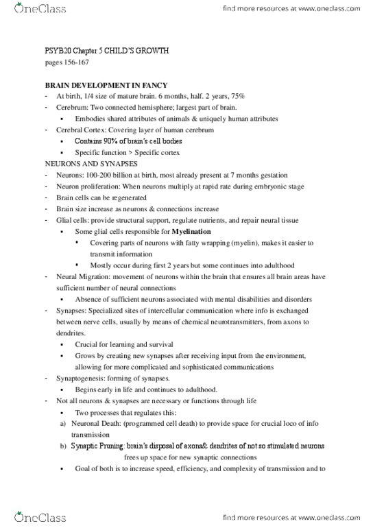 PSYB32H3 Chapter Notes - Chapter 5: Spatial Disorientation, Neuroglia, Motor System thumbnail