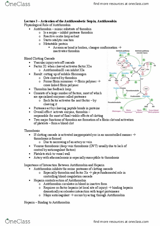 BCH3052 Lecture Notes - Lecture 3: Deep Vein Thrombosis, Serpin, Venous Thrombosis thumbnail