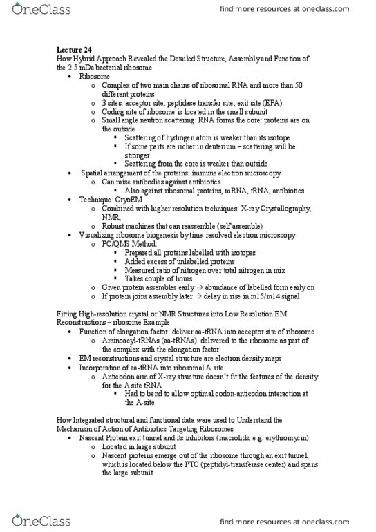 document preview image
