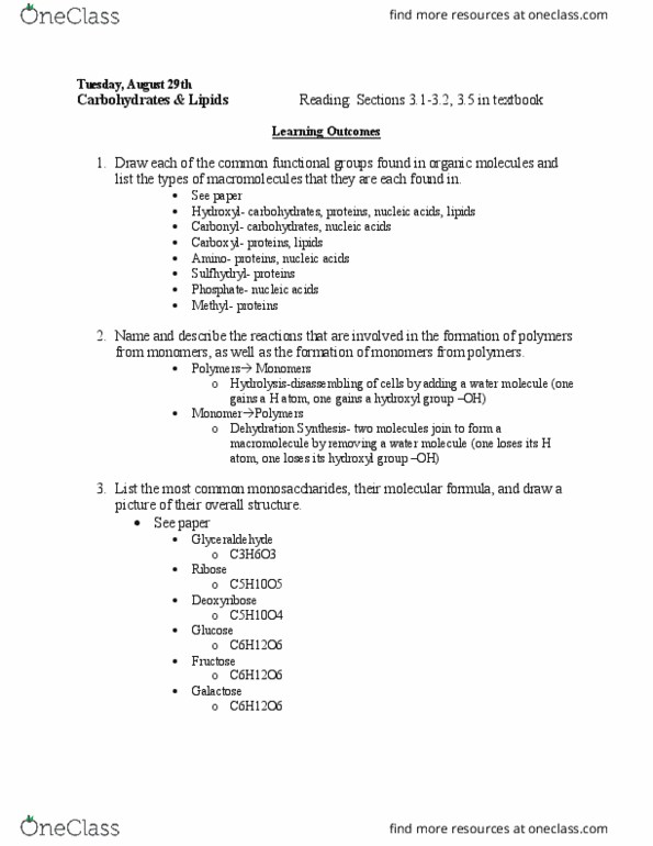 BIOL 1081 Lecture Notes - Lecture 3: Chemical Formula, Macromolecule, Deoxyribose thumbnail