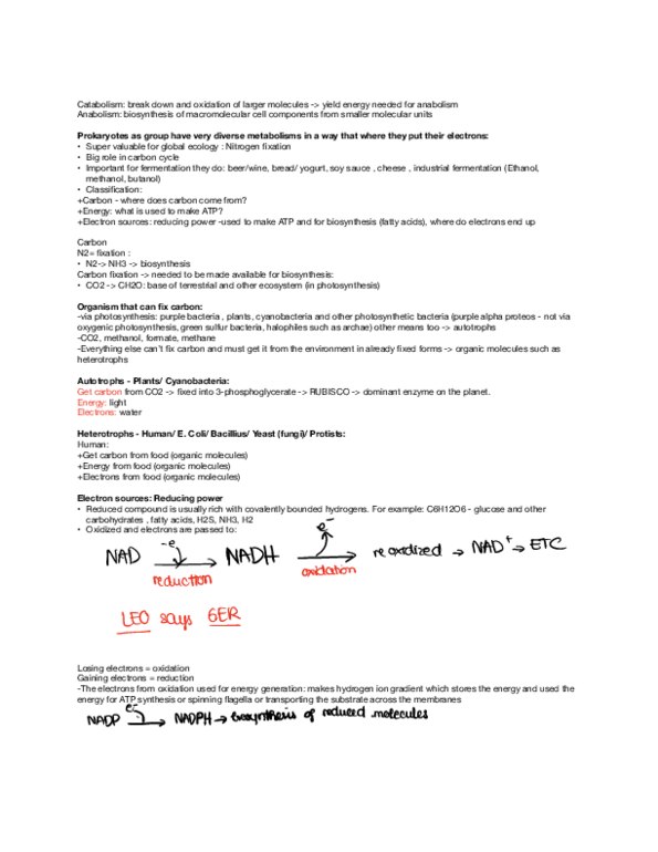 MCB 2610 Lecture 9: Metabolism thumbnail