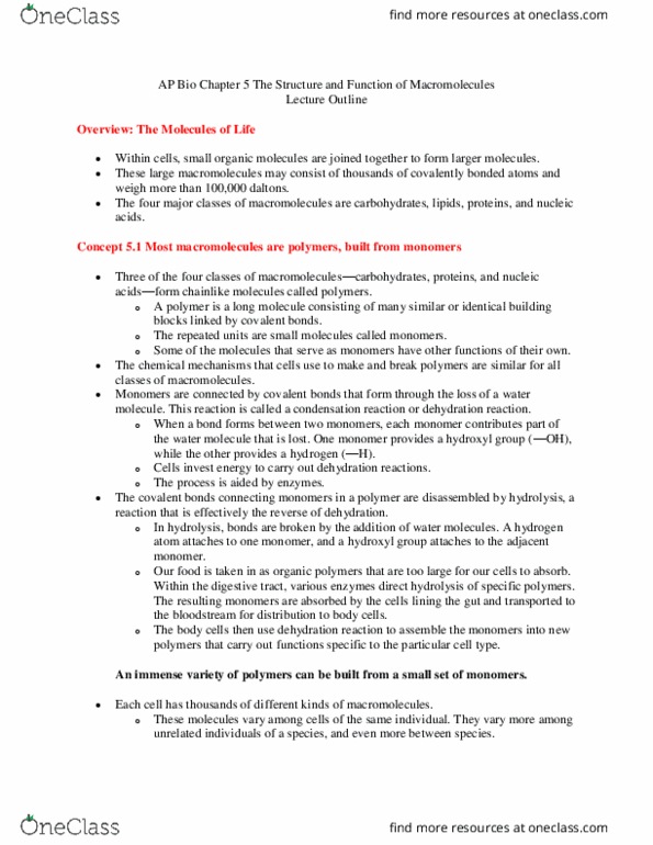 BIOL 600 Lecture Notes - Lecture 6: Glycosidic Bond, Asymmetric Carbon, Aldose thumbnail