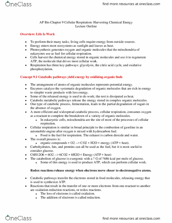 BIOL 600 Lecture Notes - Lecture 2: Oxidative Phosphorylation, Exergonic Reaction, Metabolic Pathway thumbnail