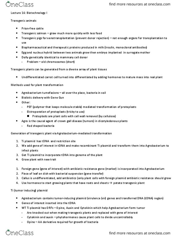 CSB351Y1 Lecture Notes - Lecture 16: Agrobacterium Tumefaciens, Ti Plasmid, Genetically Modified Crops thumbnail