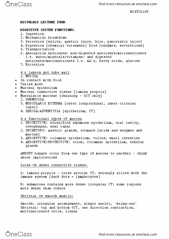 BIOM3002 Lecture Notes - Lecture 4: Stratified Squamous Epithelium, Muscularis Mucosae, Lamina Propria thumbnail