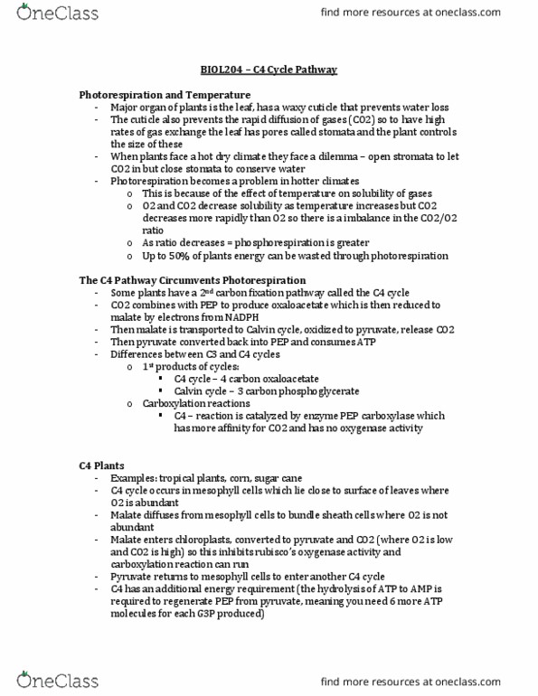 BIOL 204 Lecture Notes - Lecture 37: Leaf, Carboxylation, Pyruvic Acid thumbnail