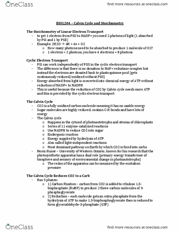 BIOL 204 Lecture Notes - Lecture 40: Endergonic Reaction, Stoichiometry, Plastoquinone thumbnail