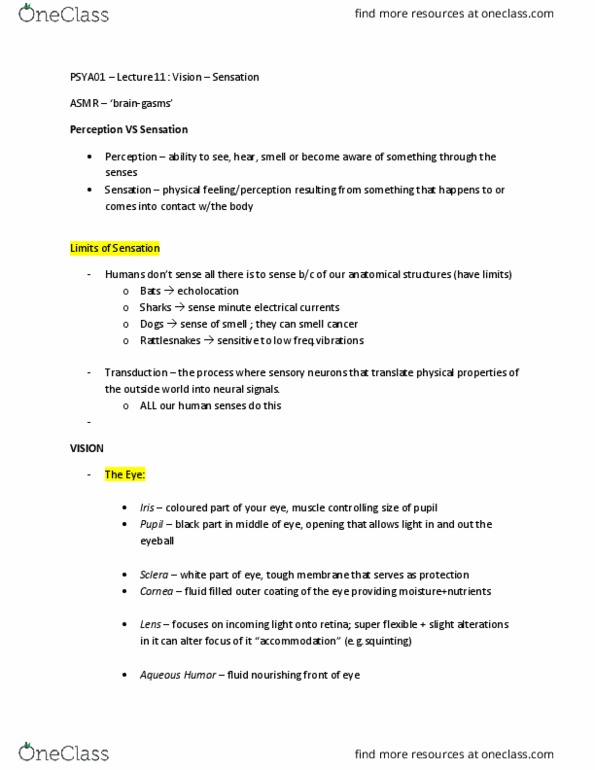 PSYA01H3 Lecture Notes - Lecture 11: Ganglion, Sclera, Opponent Process thumbnail