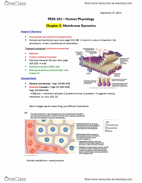 BIOL207 Lecture Notes - Lecture 1: Endocytosis, Facilitated Diffusion, Membrane Potential thumbnail