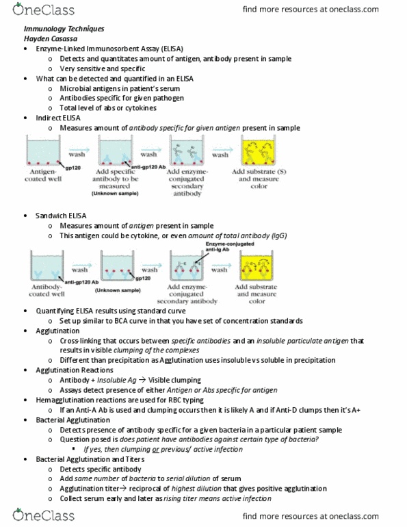 BIO 343 Lecture Notes - Lecture 18: Antigen, Titer, Immunoglobulin G thumbnail