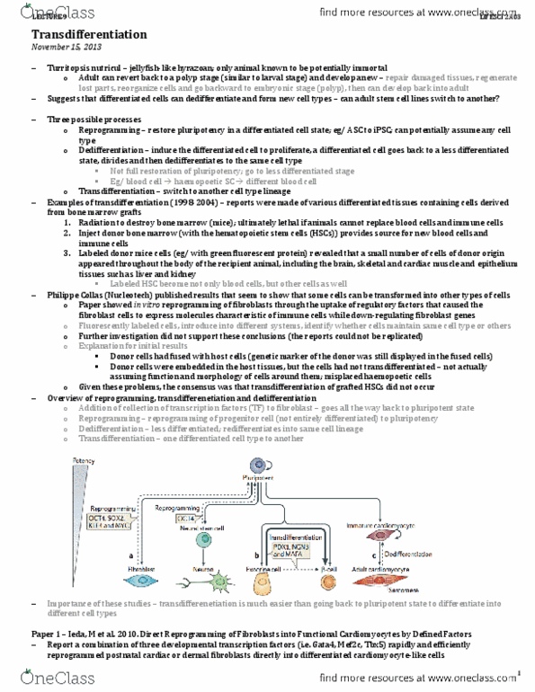 LIFESCI 2A03 Lecture Notes - Lecture 9: Hematopoietic Stem Cell, Transdifferentiation, Cd90 thumbnail