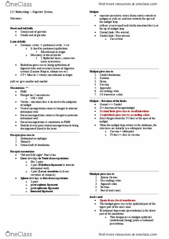 ANHB2212 Lecture Notes - Lecture 17: J. P. Dutta, Falciform Ligament, Aorta thumbnail